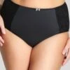 Panache Sculptresse Chi Chi Full Brief - Black 1 Panache Sculptresse Chi Chi Full Brief - Black -BRASTOGO Sales ChiChiFullBrief
