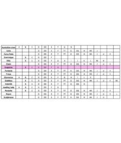 Exquisite Form Fully Front Close Wirefree Posture Bra With Lace - Walnut -BRASTOGO Sales EXQUISITEFORMFULLY 5100565 FrontClosePostureBrawithLace WALNUTBras 3