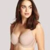 Panache Cari Moulded Spacer Underwired T-Shirt Bra - Champagne -BRASTOGO Sales PanacheCariMouldedSpacerUnderwiredT ShirtBra Champagne