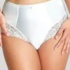 Panache Quinn High Waisted Brief - Ivory -BRASTOGO Sales QuinnHighWaistedBrief 95a05f5b e46e 422d aa1a abbe3b104fe8