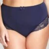 Panache Sculptresse Sasha Brief - Ink -BRASTOGO Sales SashaBrief