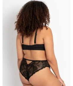 Curvy Kate Lace Daze Wirefree Bralette - Black -BRASTOGO Sales curvy kate lace daze bralette black 4