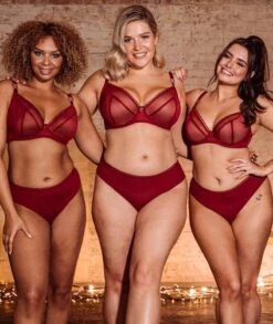 Curvy Kate Lifestyle Plunge Bra - Deep Red -BRASTOGO Sales curvy kate lifestyle plunge bra deep red 6