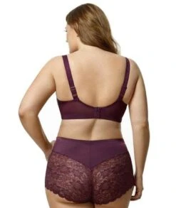 Elila Cheeky Stretch Lace Brief - Plum -BRASTOGO Sales elila cheeky stretch lace brief plum3