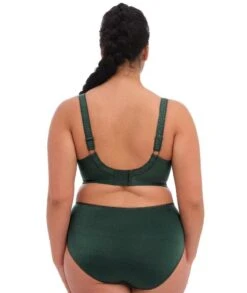 Wacoal Elomi Cate Underwired Full Cup Banded Bra - Pinegrove -BRASTOGO Sales elomi cate full brief pinegrove 4 467358b9 0929 4513 bb5d 110b5107d6aa