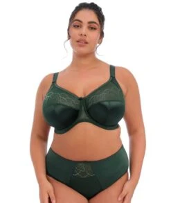 Wacoal Elomi Cate Underwired Full Cup Banded Bra - Pinegrove -BRASTOGO Sales elomi cate full brief pinegrove 6 35795a19 a442 4e79 8444 ea64e1884f95