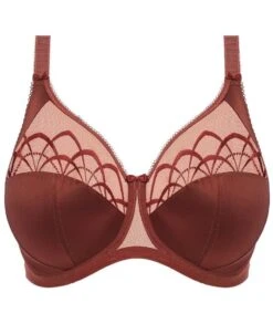 Wacoal Elomi Cate Underwired Full Cup Banded Bra - Dark Copper -BRASTOGO Sales elomi cate underwired full cup banded bra dark copper 7