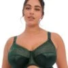 Wacoal Elomi Cate Underwired Full Cup Banded Bra - Pinegrove -BRASTOGO Sales elomi cate underwired full cup banded bra pinegrove 1