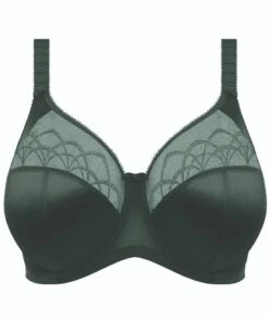 Wacoal Elomi Cate Underwired Full Cup Banded Bra - Pinegrove -BRASTOGO Sales elomi cate underwired full cup banded bra pinegrove 3
