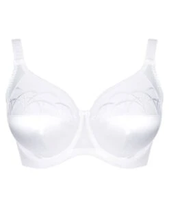 Wacoal Elomi Cate Underwired Full Cup Banded Bra - White -BRASTOGO Sales elomi cate underwired full cup banded bra white 1