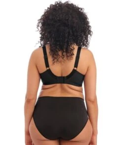 Wacoal Elomi Morgan Underwired Bra - Black 11 Wacoal Elomi Morgan Underwired Bra - Black -BRASTOGO Sales elomi morgan underwired bra black 4