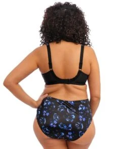 Wacoal Elomi Morgan Underwired Bra - Twilight -BRASTOGO Sales elomi morgan underwired bra twilight 4