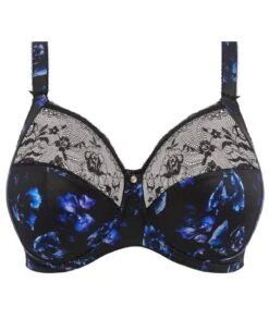 Wacoal Elomi Morgan Underwired Bra - Twilight -BRASTOGO Sales elomi morgan underwired bra twilight 7