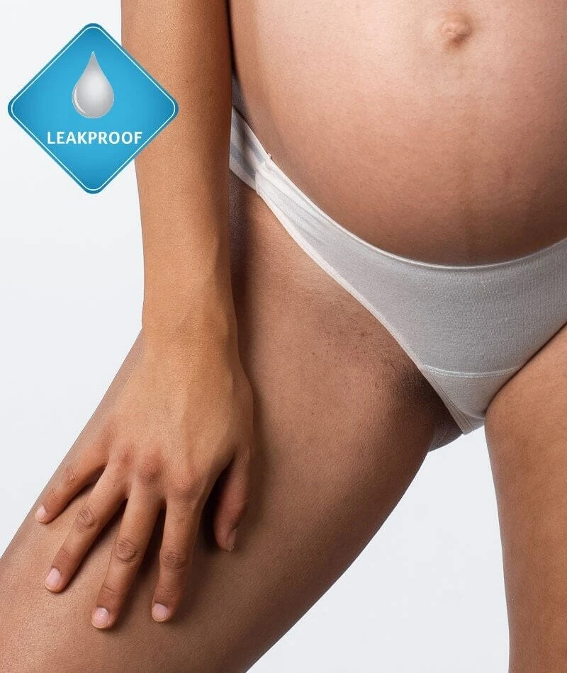 Hotmilk Elevate Light Leakproof Bikini Brief - Shell Marle 5 Hotmilk Elevate Light Leakproof Bikini Brief - Shell Marle - Image 3