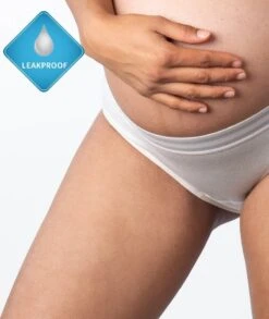 Hotmilk Elevate Moderate Leakproof Hi Brief - Shell Marle -BRASTOGO Sales hotmilk elevate moderate leakproof hi brief shell marle 11