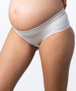 Hotmilk Elevate Moderate Leakproof Hi Brief - Shell Marle -BRASTOGO Sales hotmilk elevate moderate leakproof hi brief shell marle 9