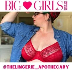 Panache Atlanta Non-Padded Underwire Plunge Bra - Chilli 16 Panache Atlanta Non-Padded Underwire Plunge Bra - Chilli -BRASTOGO Sales img proxy 143827fb 0384 4290 b30a 93872b20a718