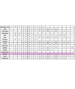 Panache Sport Underwired Sports Bra- Black -BRASTOGO Sales img proxy 1 3d68cd73 1c16 4a24 8421 2a97e2ccd3ad