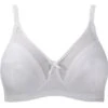 Royce Charlotte Support Non-Underwired Bra - White -BRASTOGO Sales img proxy 39895c73 6f13 4fdb 9ea6 79aa316a0036