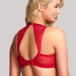 Panache Atlanta Non-Padded Underwire Plunge Bra - Chilli 12 Panache Atlanta Non-Padded Underwire Plunge Bra - Chilli -BRASTOGO Sales img proxy 54c2dceb fe5c 4307 aa78 def197f91e04