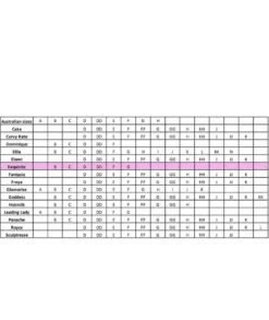 Exquisite Form Fully Front Close Wirefree Posture Bra With Lace - White -BRASTOGO Sales img proxy 6120843f a188 4fce b52c 51ea9300476c 1