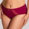 Panache Sculptresse Candi Full Brief - Cassis 1 Panache Sculptresse Candi Full Brief - Cassis -BRASTOGO Sales img proxy 9efa85a3 2916 409b 8aea c30b1630ae4b
