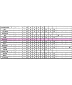 Exquisite Form Fully Cotton Soft Cup Wirefree Bra With Lace - White 25 Exquisite Form Fully Cotton Soft Cup Wirefree Bra With Lace - White -BRASTOGO Sales img proxy e34ee4f0 1e12 4bfc 9142 15598e4250f1 1