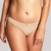 Panache Ardour Brazilian Brief - Nude -BRASTOGO Sales img proxy efd890b5 4d32 4f91 b033 74309f2136ec