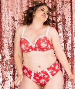 Lady Emprezz Shirley High Rise Brief - Red Vintage -BRASTOGO Sales lady emprezz shirley high rise brief red vintage 7