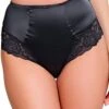 Panache Quinn High Waisted Brief - Black -BRASTOGO Sales panache 9245 quinn high waisted brief2