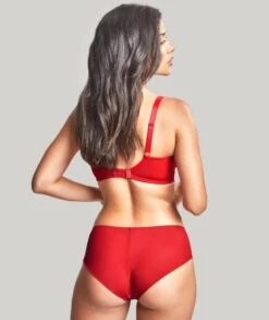 Panache Ana Non Padded Underwired Plunge Bra - Salsa Red -BRASTOGO Sales panache ana non padded underwired plunge bra salsa red 8