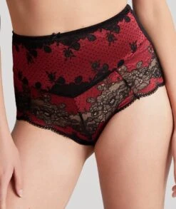 Panache Clara High Waist Brief - Ruby Noir