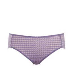 Panache Envy Brief - Violet -BRASTOGO Sales panache envy brief violet3