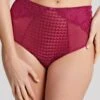 Panache Envy Deep Brief - Orchid -BRASTOGO Sales panache envy deep brief orchid 1