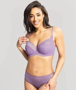 Panache Envy Brief - Violet -BRASTOGO Sales panache envy full cup underwire bra violet2 d9f79aab bb79 494e bb46 490e33f45301