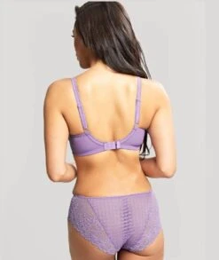Panache Envy Brief - Violet -BRASTOGO Sales panache envy full cup underwire bra violet3 500ab70d 8b59 49ac 806c 7650a7932ea3