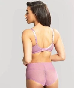 Panache Imogen High Waist Brief - Mauve Pink -BRASTOGO Sales panache imogen balconnet bra mauve pink2 240f02ee 1c60 4c1a a93e f2c140dc3b63