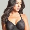 Panache Radiance Moulded Full Cup Underwire Bra - Black -BRASTOGO Sales panache radiance moulded full cup underwire bra black 2