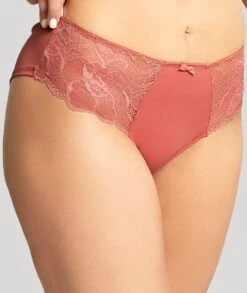 Panache Rocha Brief - Garnet Rose -BRASTOGO Sales panache rocha brief garnet rose
