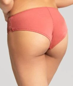 Panache Rocha Brief - Garnet Rose -BRASTOGO Sales panache rocha brief garnet rose13
