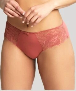 Panache Rocha Brief - Garnet Rose -BRASTOGO Sales panache rocha brief garnet rose3
