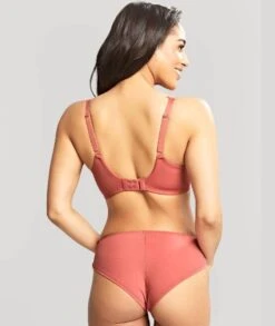 Panache Rocha Brief - Garnet Rose -BRASTOGO Sales panache rocha brief garnet rose4