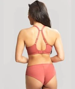 Panache Rocha Brief - Garnet Rose -BRASTOGO Sales panache rocha brief garnet rose7