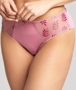 Panache Tango Brief - Rose
