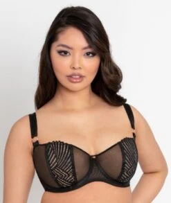 Scantilly Authority Balcony Bra - Black -BRASTOGO Sales scantilly authority balcony bra black11