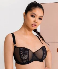 Scantilly Authority Balcony Bra - Black -BRASTOGO Sales scantilly authority balcony bra black4
