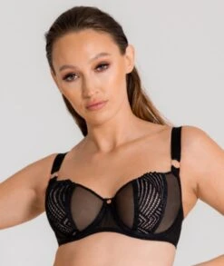 Scantilly Authority Balcony Bra - Black -BRASTOGO Sales scantilly authority balcony bra black7