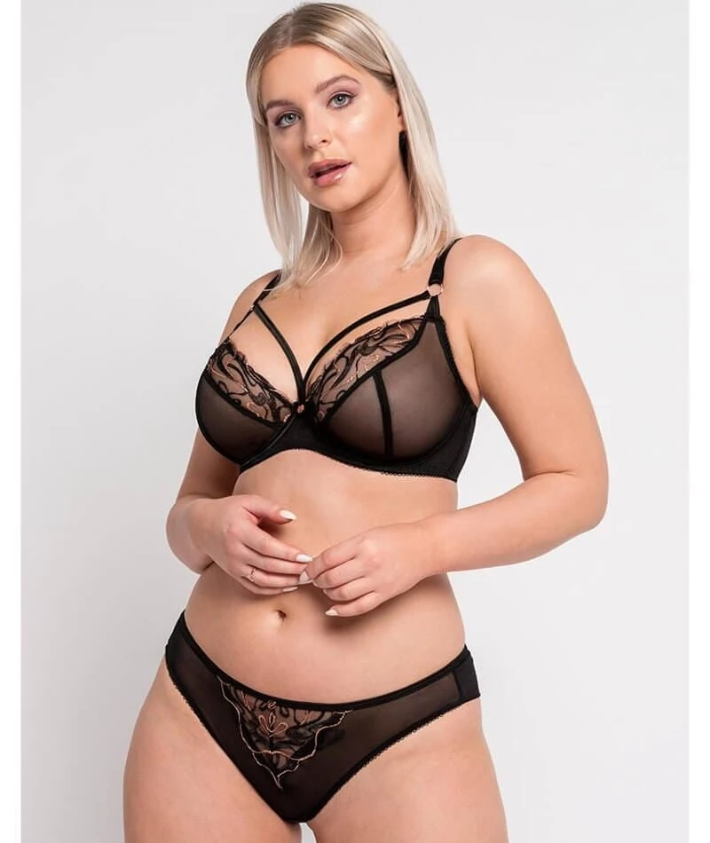 Scantilly Fascinate Plunge Bra - Black 9 Scantilly Fascinate Plunge Bra - Black - Image 7