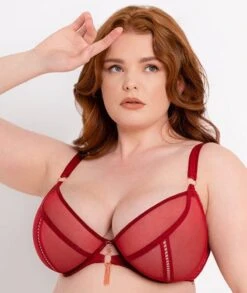Scantilly Unchained Plunge Bra - Deep Red -BRASTOGO Sales scantilly unchained plunge bra deep red 5