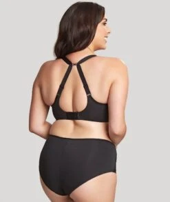 Panache Sculptresse Elegance Deep Brief - Noir -BRASTOGO Sales sculptresse elegance underwired balconnet bra noir7 938de5d2 7b8d 4836 8b7e d90ab1be1564